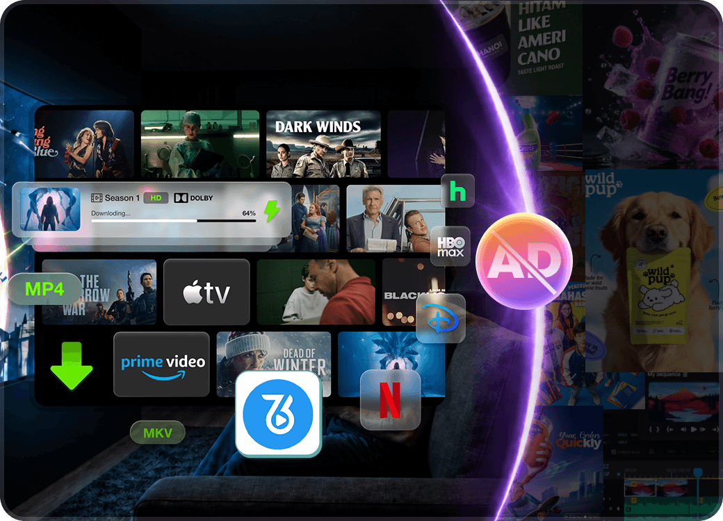All-in-One Video Downloader