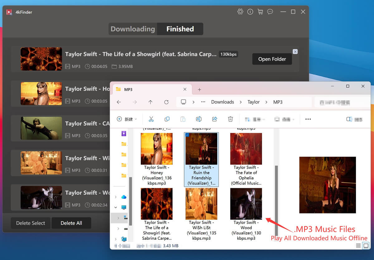 get downloaded songs