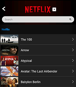 download Netflix movies on phone
