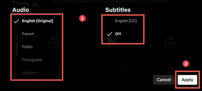 change audio subtitle language on Netflix