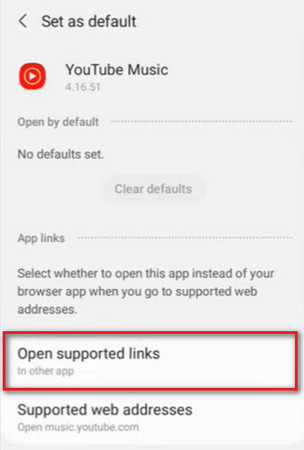 youtube music default supported links