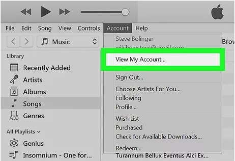 view account in itunes