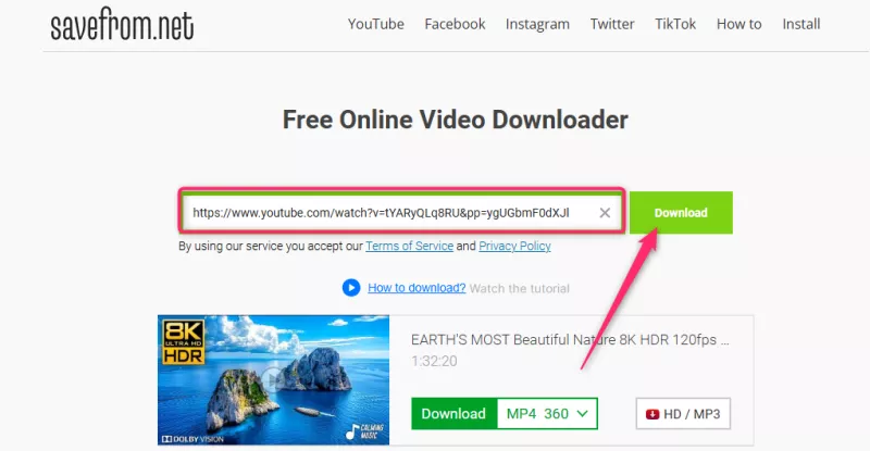 paste youtube url savefromnet