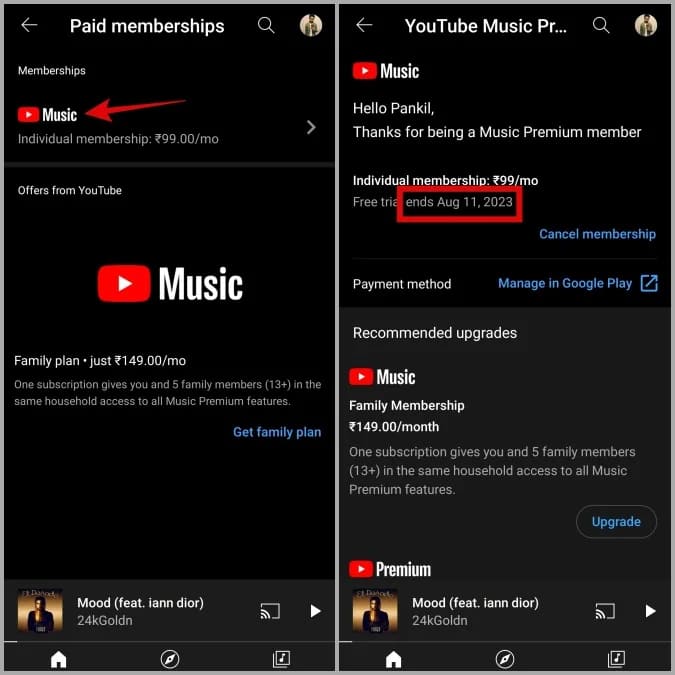 check YouTube Music Premium status
